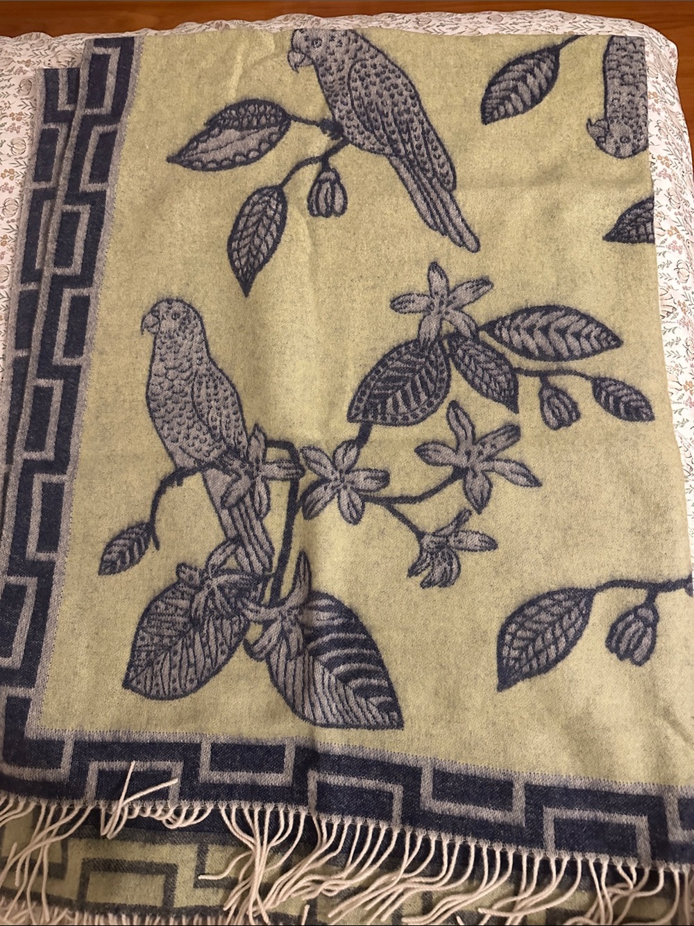 Williams Sonoma Cashmere Bird Throw
